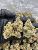 Forbidden Tang - Flower > Flower - Highs | Ganja Deals