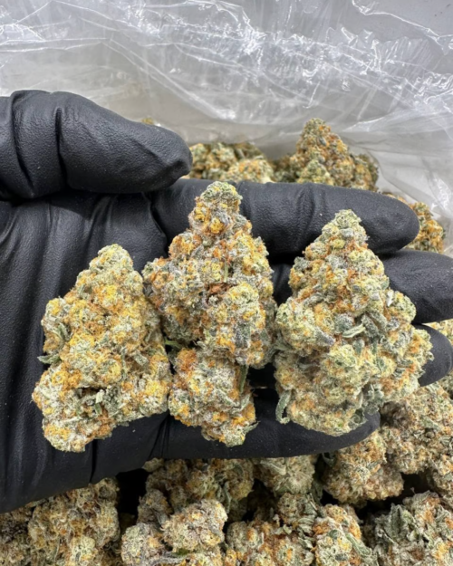 Forbidden Tang - Flower > Flower - Highs | Ganja Deals
