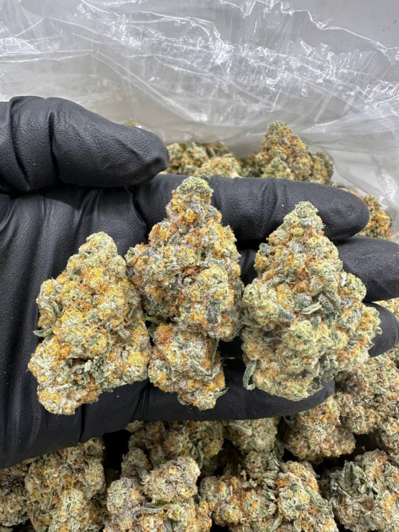 Forbidden Tang - Flower > Flower - Highs | Ganja Deals