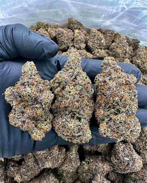 Emerald Frost - Flower > Indoor - Highs | Ganja Deals