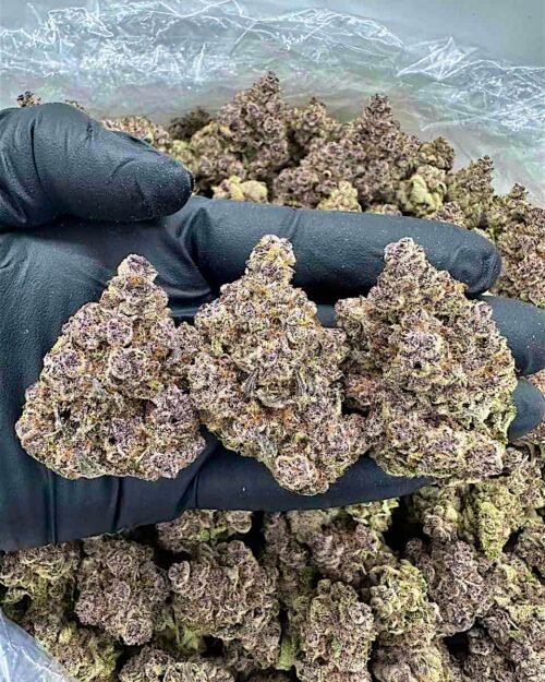 Subzero - Flower > Indoor - Highs | Ganja Deals