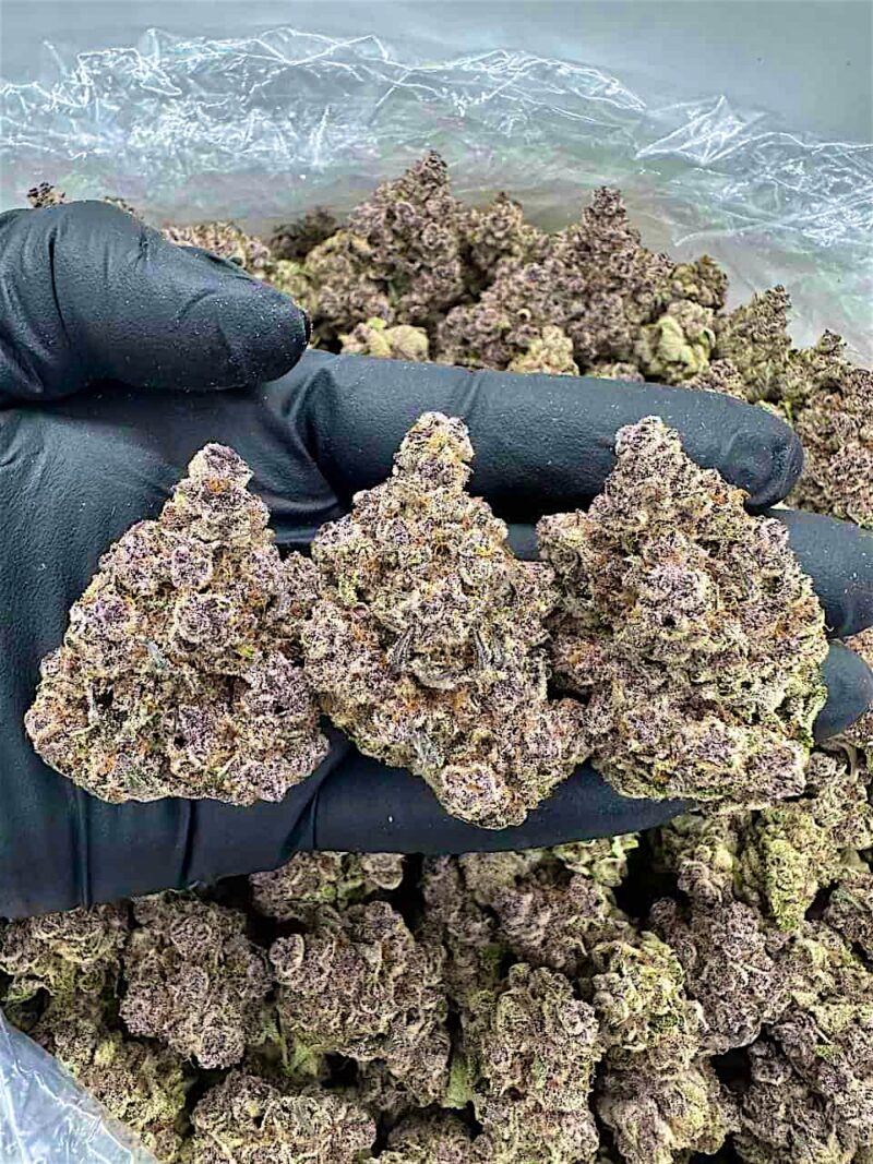 Subzero - Flower > Indoor - Highs | Ganja Deals