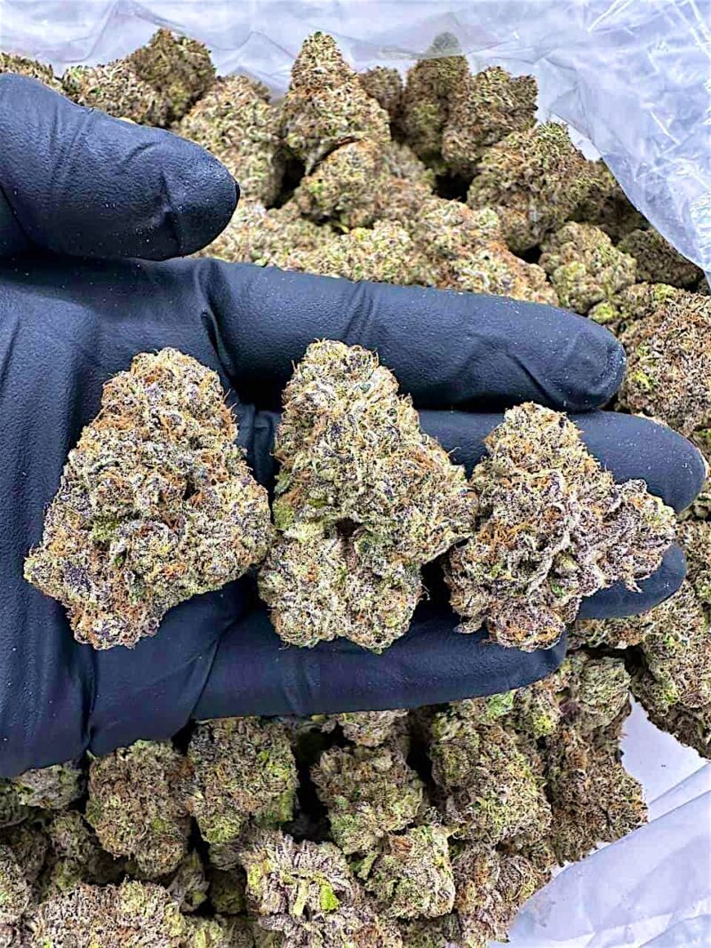 Birthday Cake - Flower > Indoor - Highs | Ganja Deals