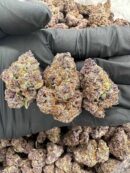 Tropical Fusion - Flower > Indoor - Highs | Ganja Deals