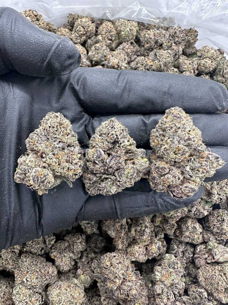 Mystic Sorbet - Flower > Indoor - Highs | Ganja Deals