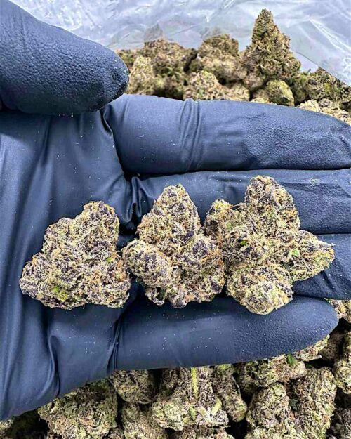 Lemon Cherry Slush - Flower > Flower - Highs | Ganja Deals