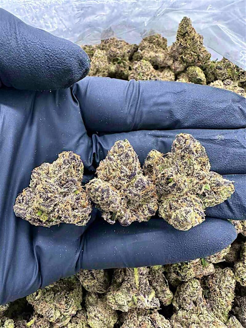 Lemon Cherry Slush - Flower > Flower - Highs | Ganja Deals
