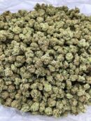 Buy Pudding Pop Online at Ganja Deals