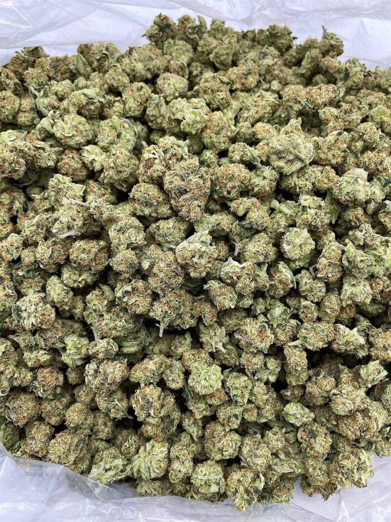 Buy Pudding Pop Online at Ganja Deals