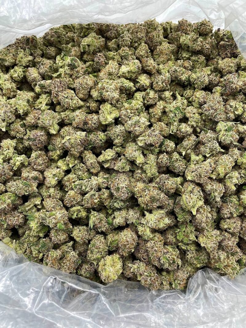 Buy Jungle Jam Online at Ganja Deals