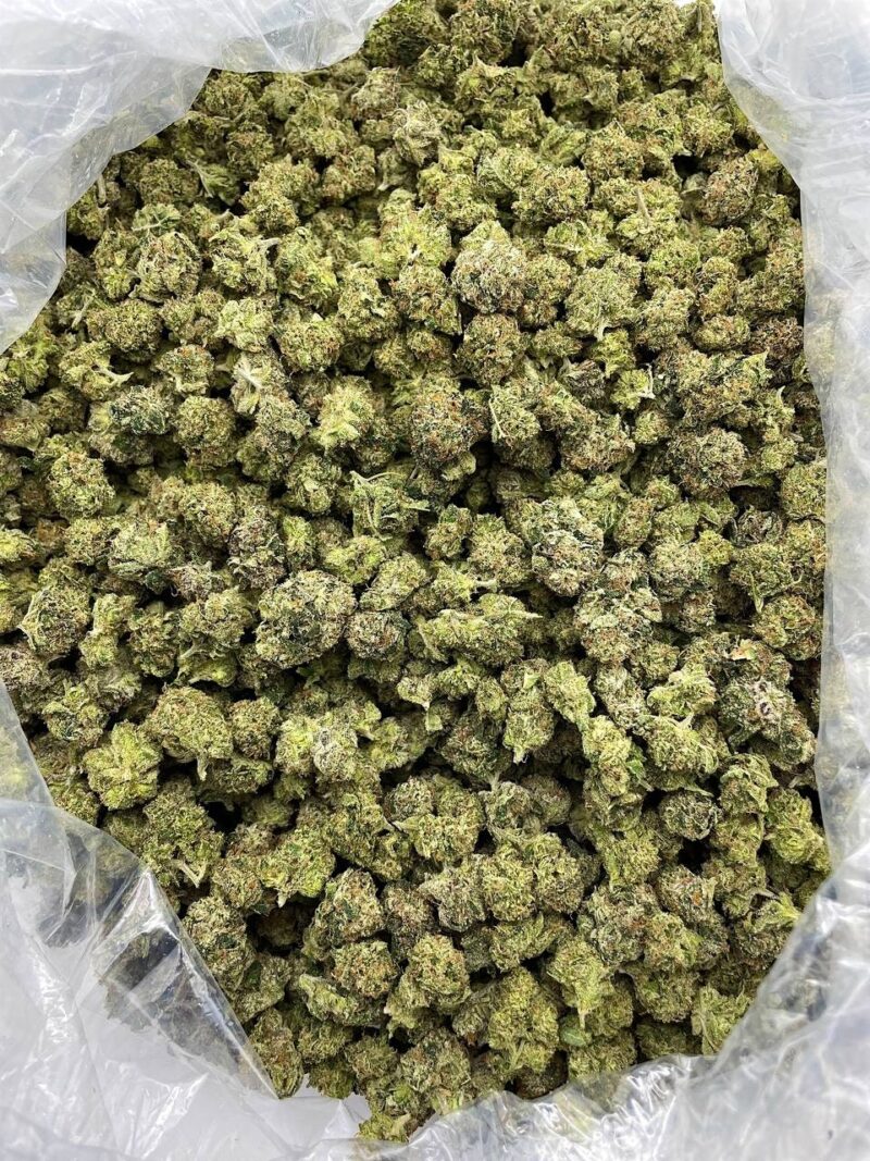 Buy Purple Tsunami Online at Ganja Deals