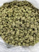 Buy Triple Berry Haze Online at Ganja Deals