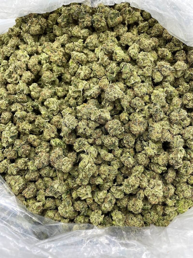 Buy Triple Berry Haze Online at Ganja Deals