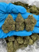 Ghost Pepper Haze - Flower > Flower - Highs | Ganja Deals