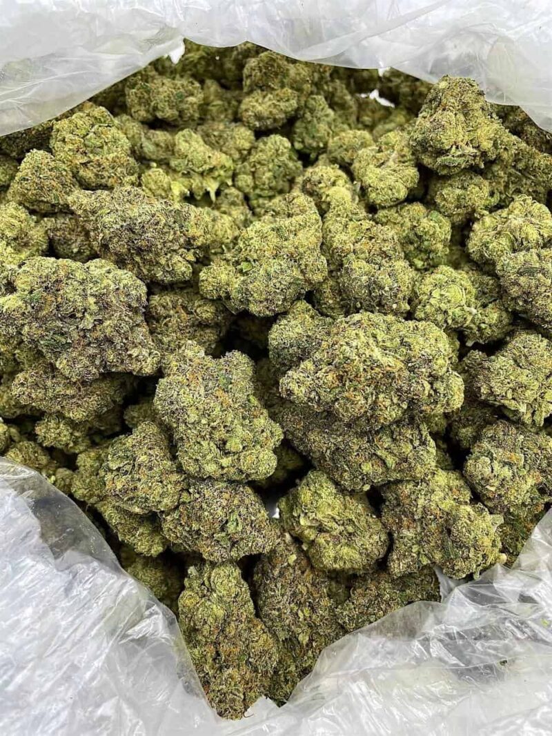 Buy Ghost Pepper Haze Online at Ganja Deals