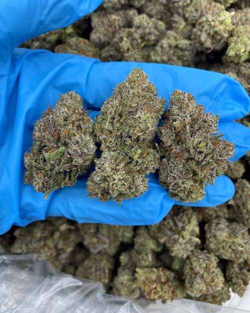 Sour Blitz