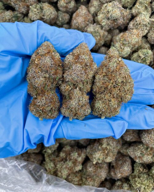 Fire Candy