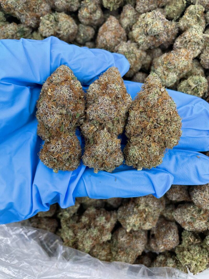 Fire Candy