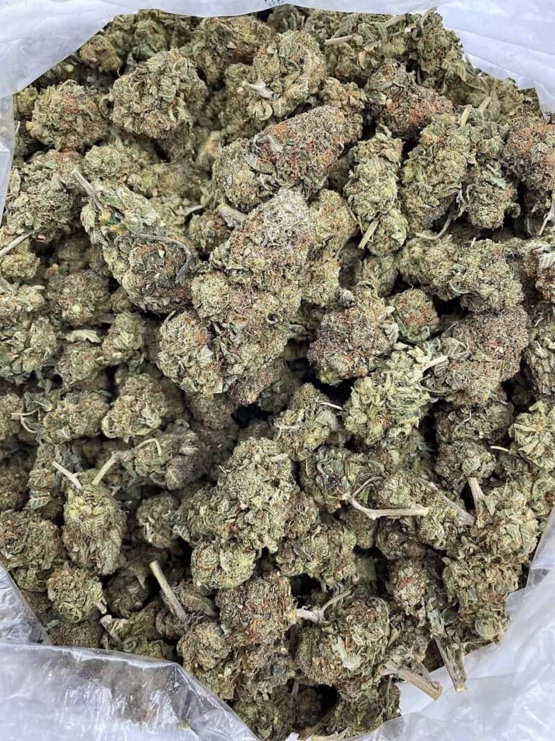 Buy Twisted Mango Kush Online at Ganja Deals