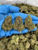 Tangelo Dream - Flower > Flower - Mids | Ganja Deals
