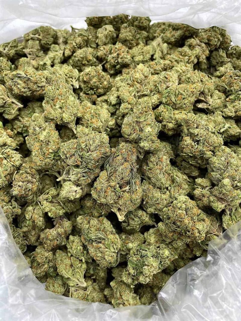 Buy Tangelo Dream Online at Ganja Deals