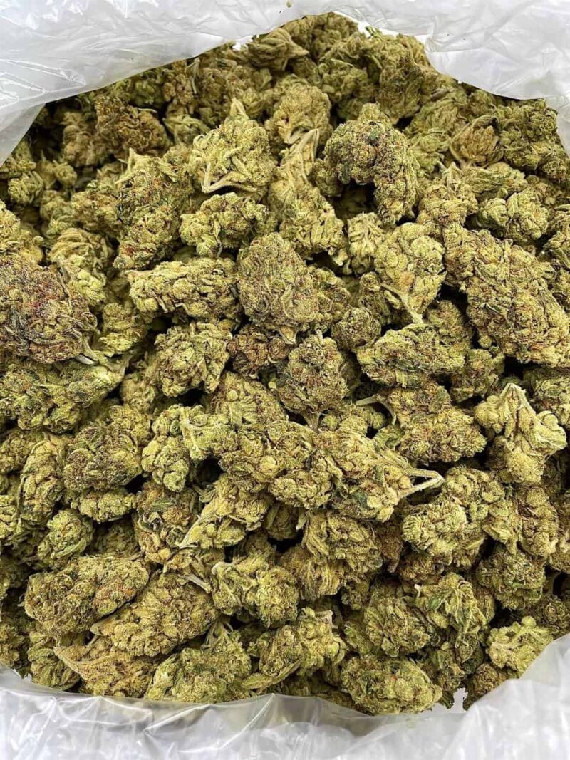 Buy Gummy Bear OG Online at Ganja Deals