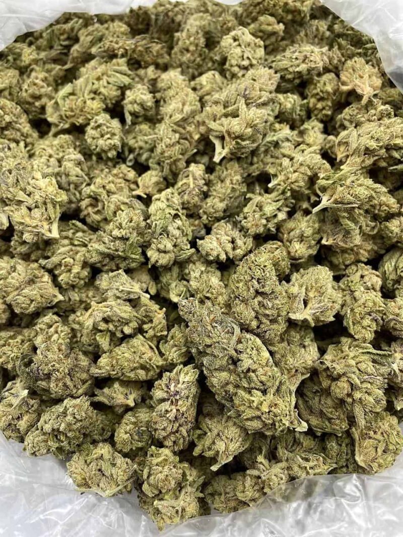 Buy Chocolate Diesel Online at Ganja Deals