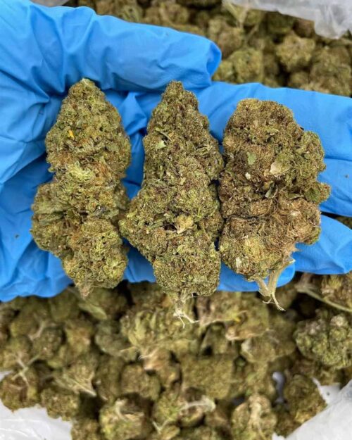Berry Rush Kush - Flower > Flower - Lows | Ganja Deals