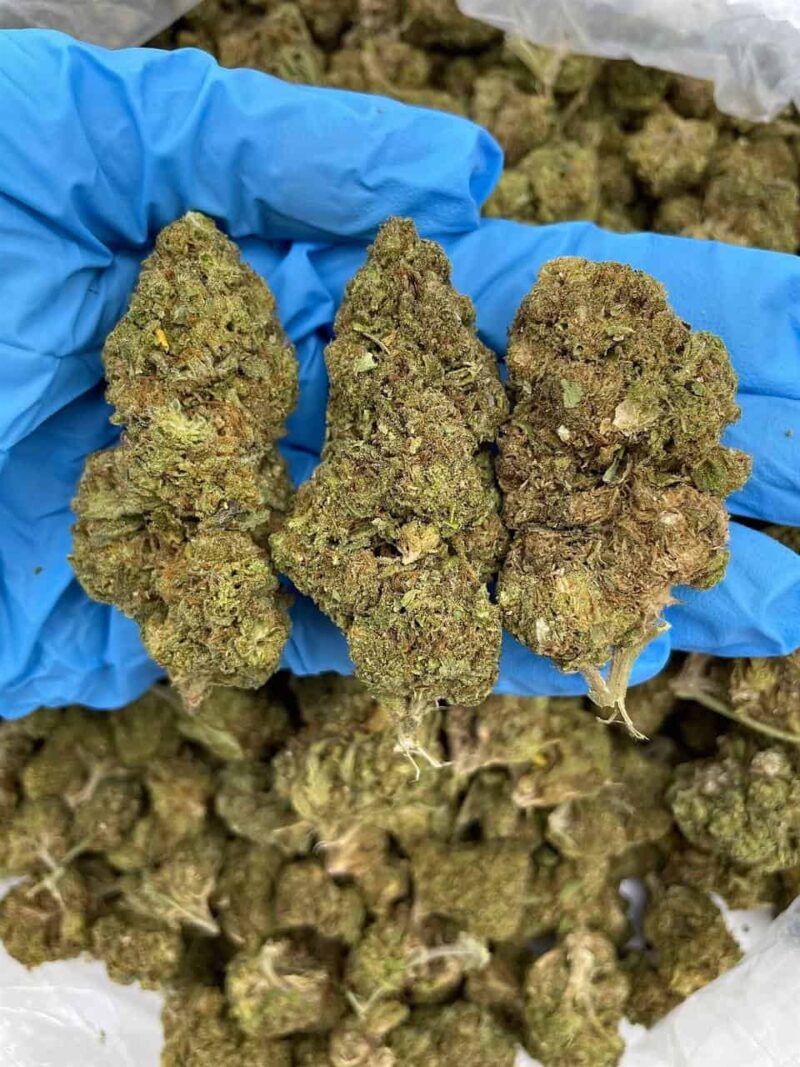 Berry Rush Kush - Flower > Flower - Lows | Ganja Deals