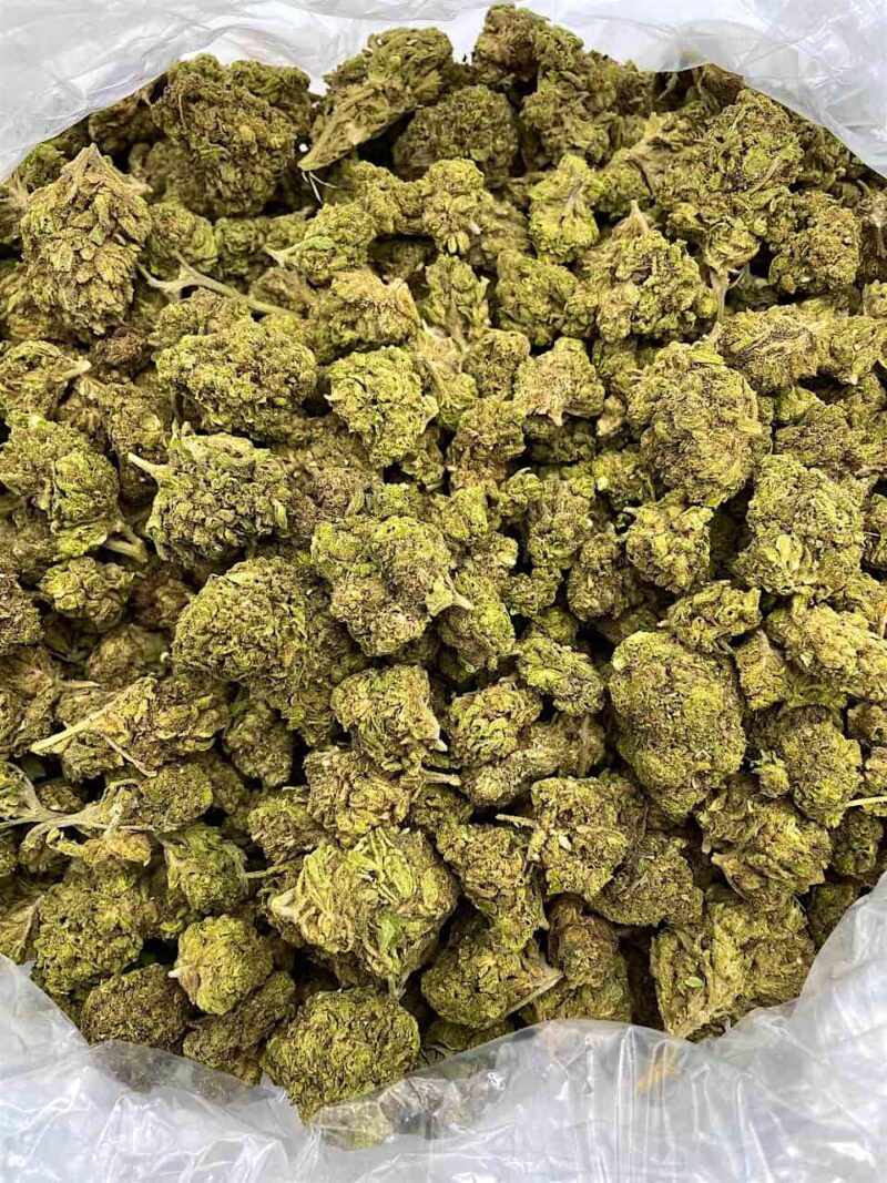 Buy Oreo Blackout Online at Ganja Deals
