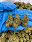 Platinum Fusion - Flower > Flower - Mids | Ganja Deals