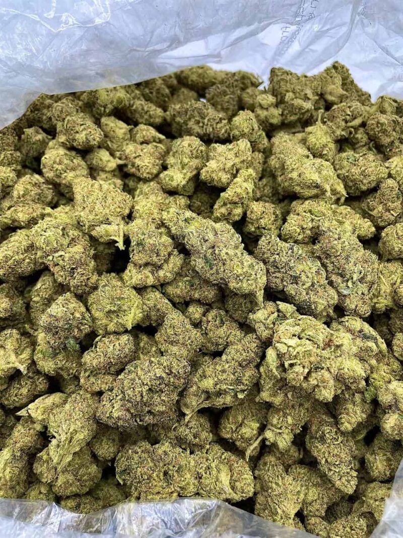 Buy Platinum Fusion Online at Ganja Deals