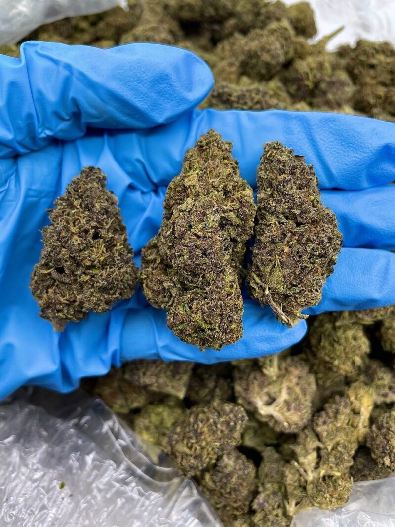 Alpine Crush - Flower > Flower - Mids | Ganja Deals