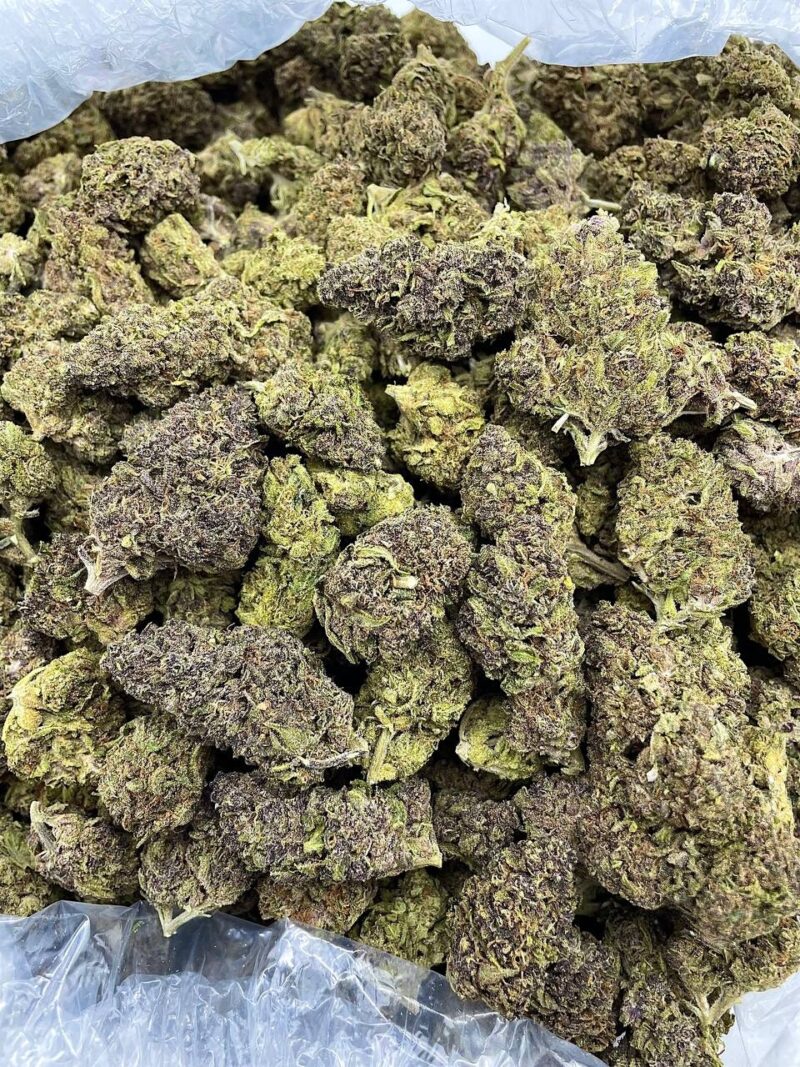 Buy Alpine Crush Online at Ganja Deals