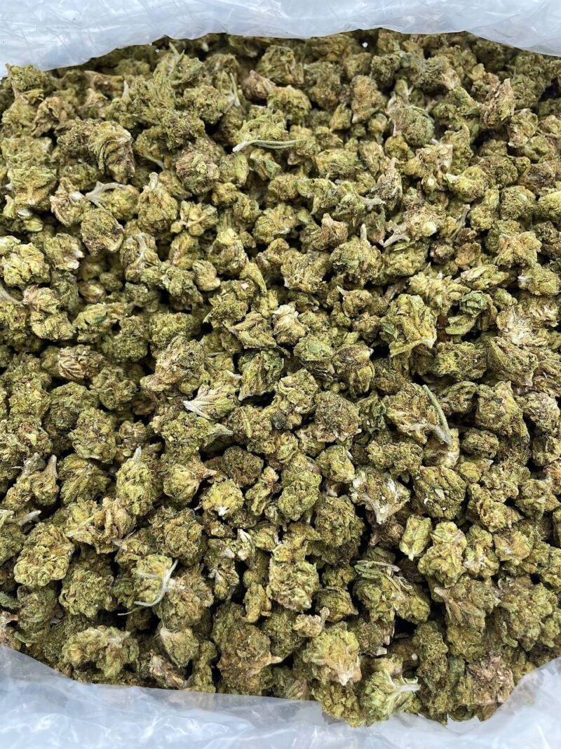Buy Cookie Fritter Online at Ganja Deals