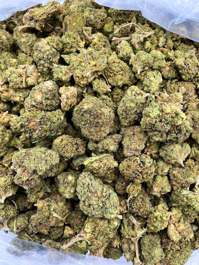 Buy Choco Twist Online at Ganja Deals