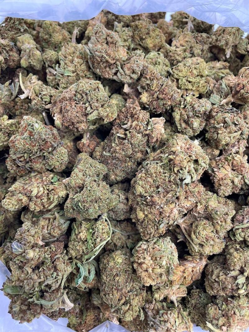 Buy Candy Haze Online at Ganja Deals