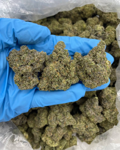 Cherry Fuel - Flower > Flower - Mids | Ganja Deals