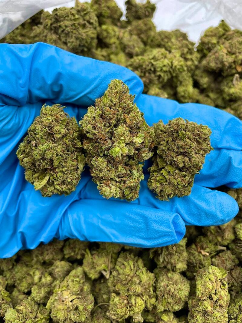 Prince Of Poison - Flower > Flower - Mids | Ganja Deals