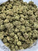 Buy Prince Of Poison Online at Ganja Deals