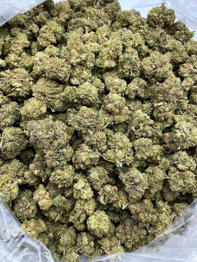 Buy Prince Of Poison Online at Ganja Deals