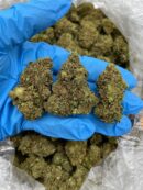 Citrus Blast - Flower > Flower - Mids | Ganja Deals
