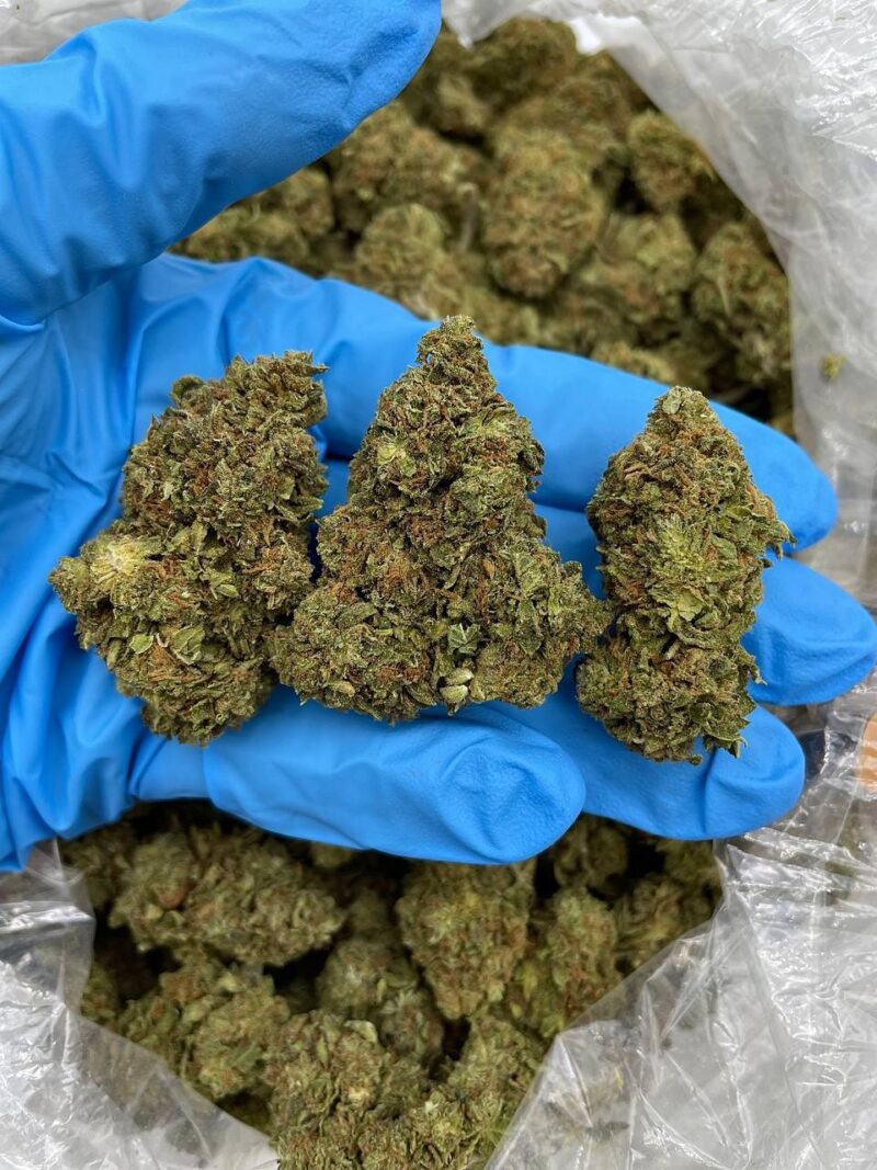 Citrus Blast - Flower > Flower - Mids | Ganja Deals
