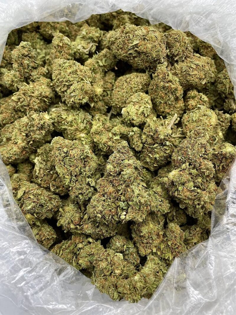 Buy Citrus Blast Online at Ganja Deals