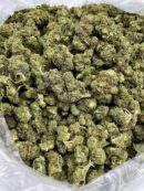 Buy Starburst Haze Online at Ganja Deals