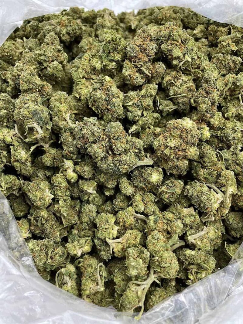 Buy Starburst Haze Online at Ganja Deals