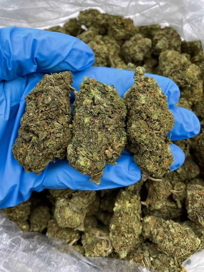 Strawberry Thunder - Flower > Flower - Mids | Ganja Deals