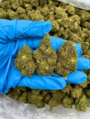 Kingslayer - Flower > Flower - Mids | Ganja Deals