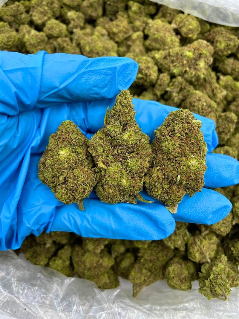 Kingslayer - Flower > Flower - Mids | Ganja Deals