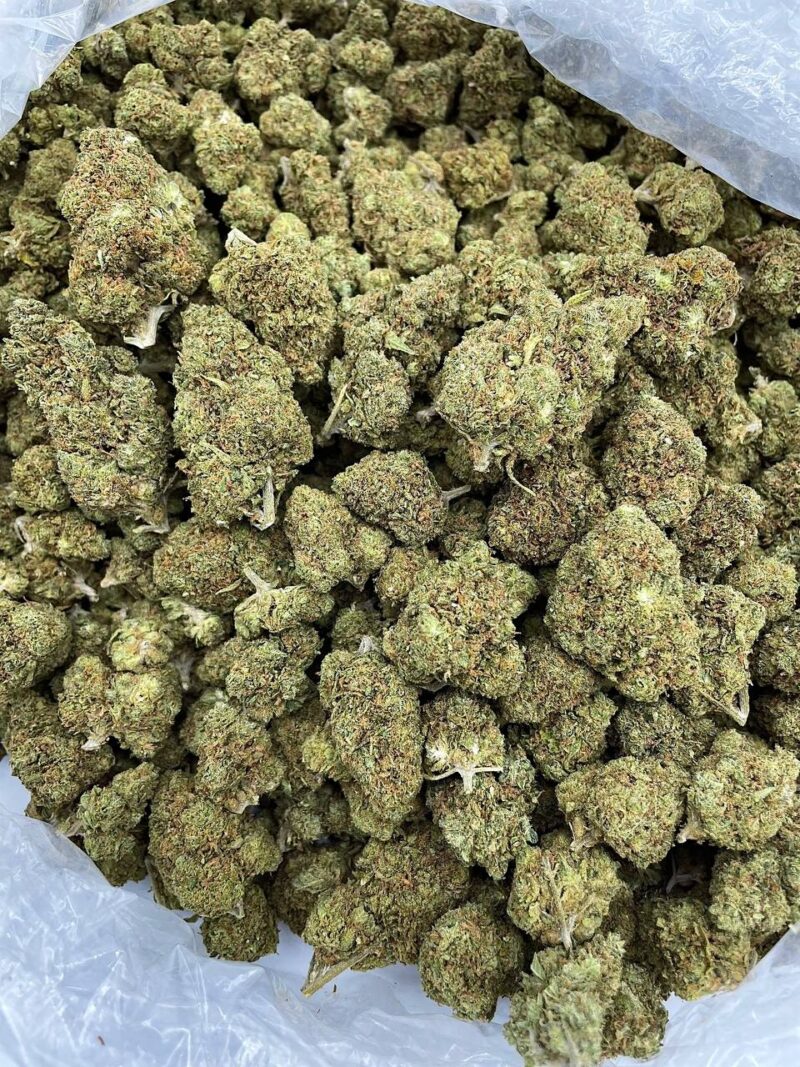 Buy Kingslayer Online at Ganja Deals